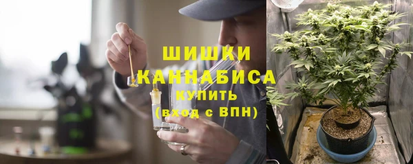 соль ск Арсеньев